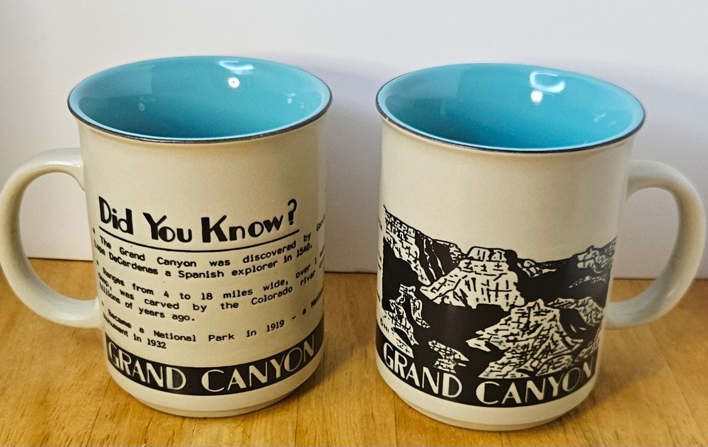 Vintage Grand Canyon Souvenir Coffee Mug Set of 2 Teal Interior Did You Know